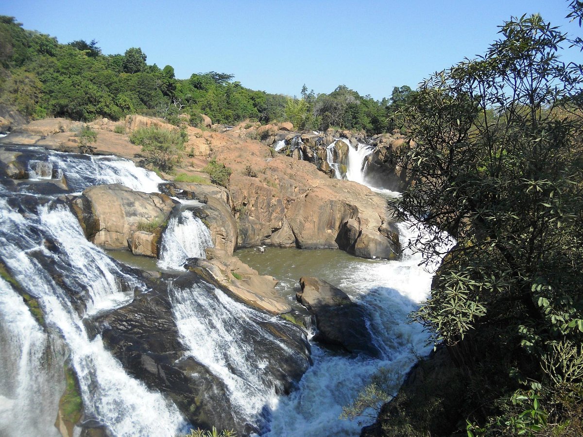 Lowveld National Botanical Gardens